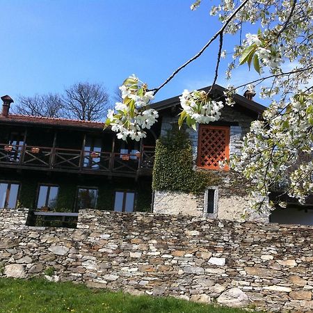 Il Ciliegio Selvatico Apartamento Verbania Exterior foto
