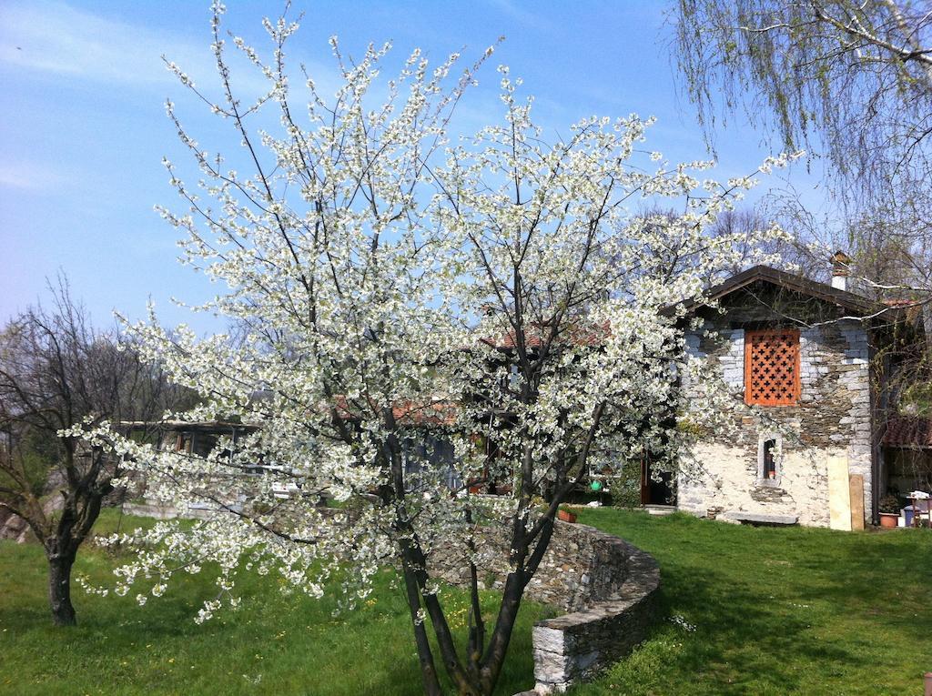 Il Ciliegio Selvatico Apartamento Verbania Exterior foto