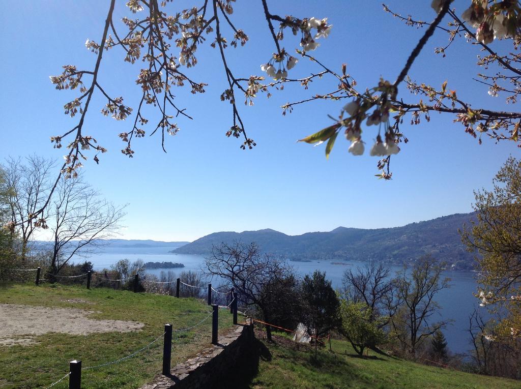 Il Ciliegio Selvatico Apartamento Verbania Exterior foto
