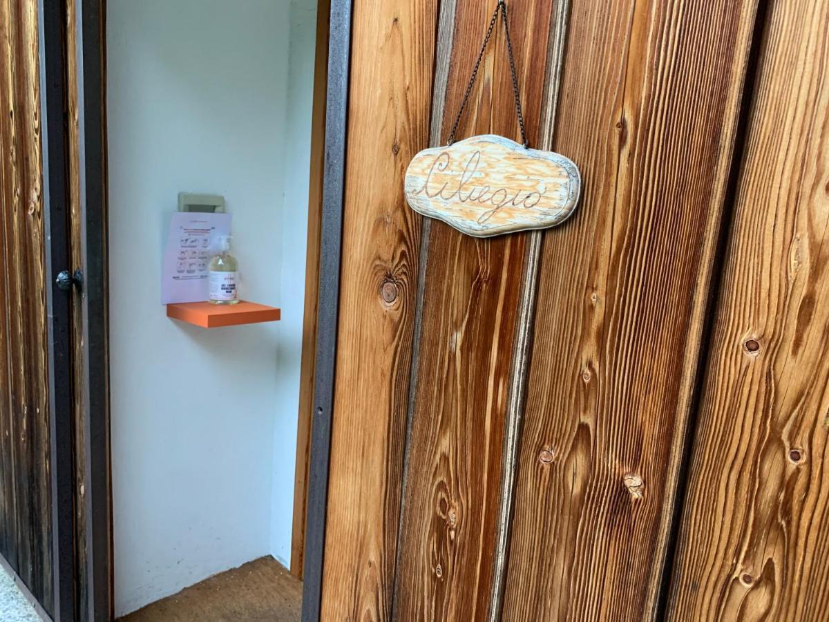 Il Ciliegio Selvatico Apartamento Verbania Exterior foto